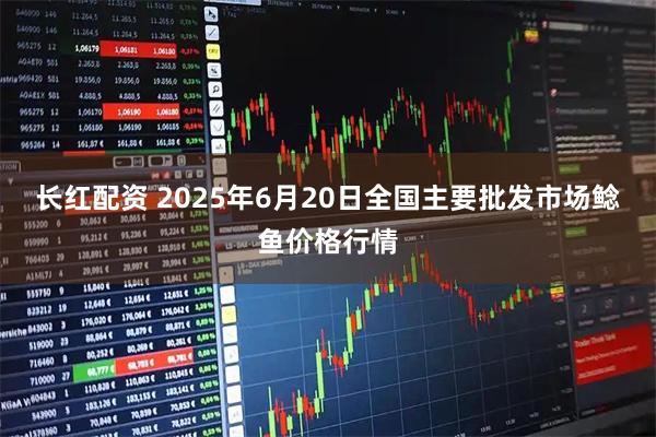 长红配资 2025年6月20日全国主要批发市场鲶鱼价格行情