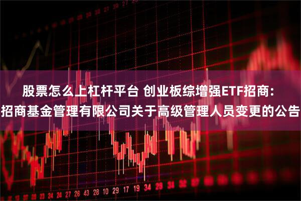 股票怎么上杠杆平台 创业板综增强ETF招商: 招商基金管理有限公司关于高级管理人员变更的公告