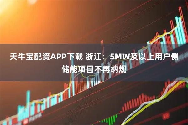天牛宝配资APP下载 浙江：5MW及以上用户侧储能项目不再纳规