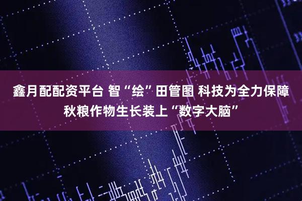 鑫月配配资平台 智“绘”田管图 科技为全力保障秋粮作物生长装上“数字大脑”