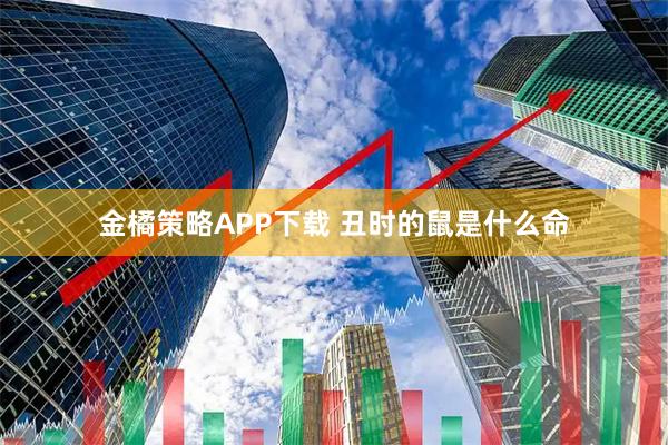 金橘策略APP下载 丑时的鼠是什么命