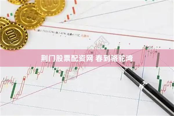 荆门股票配资网 春到骆驼湾